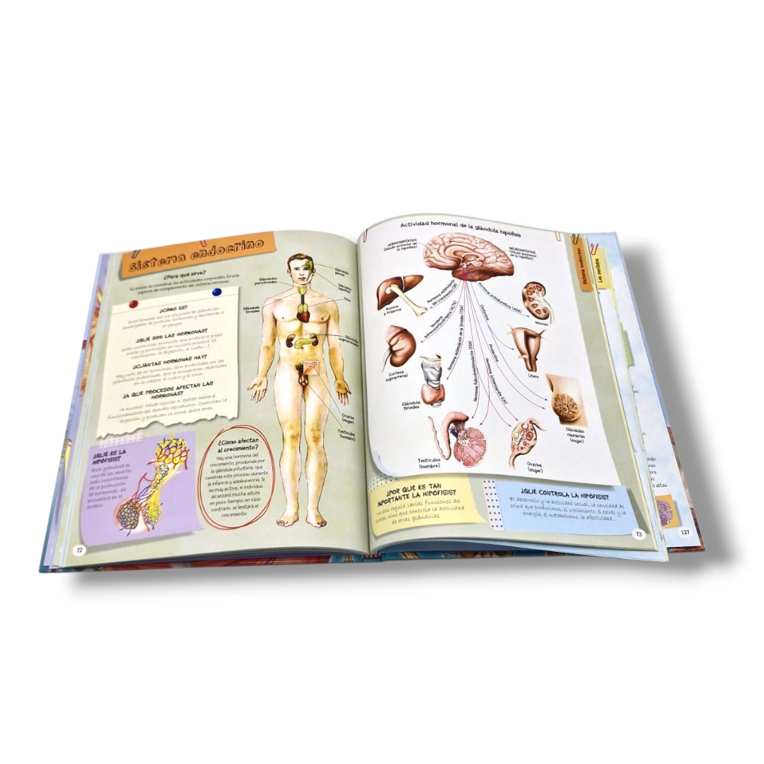 1001 PREGUNTAS Y RESPUESTAS CUERPO HUMANO - Imagen 2