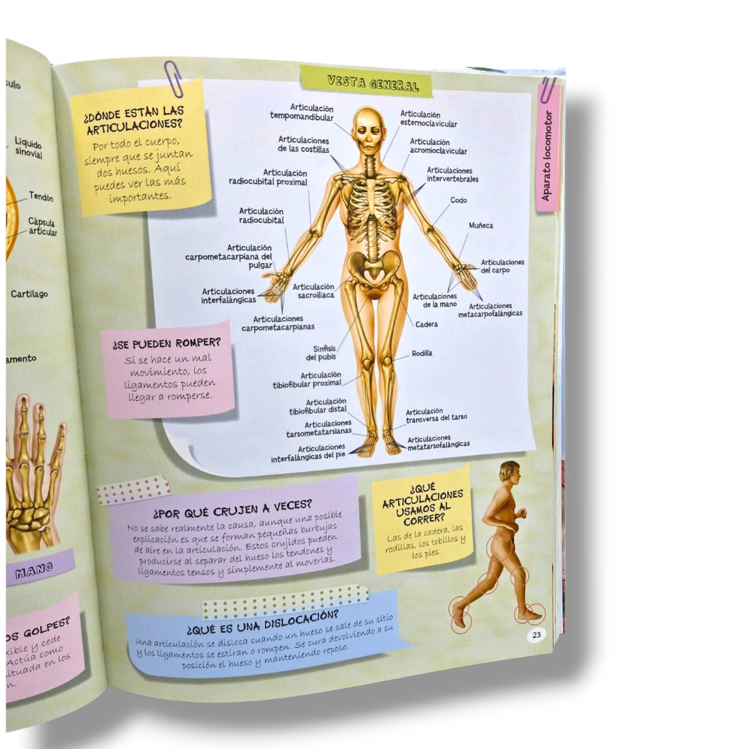 1001 PREGUNTAS Y RESPUESTAS CUERPO HUMANO - Imagen 4